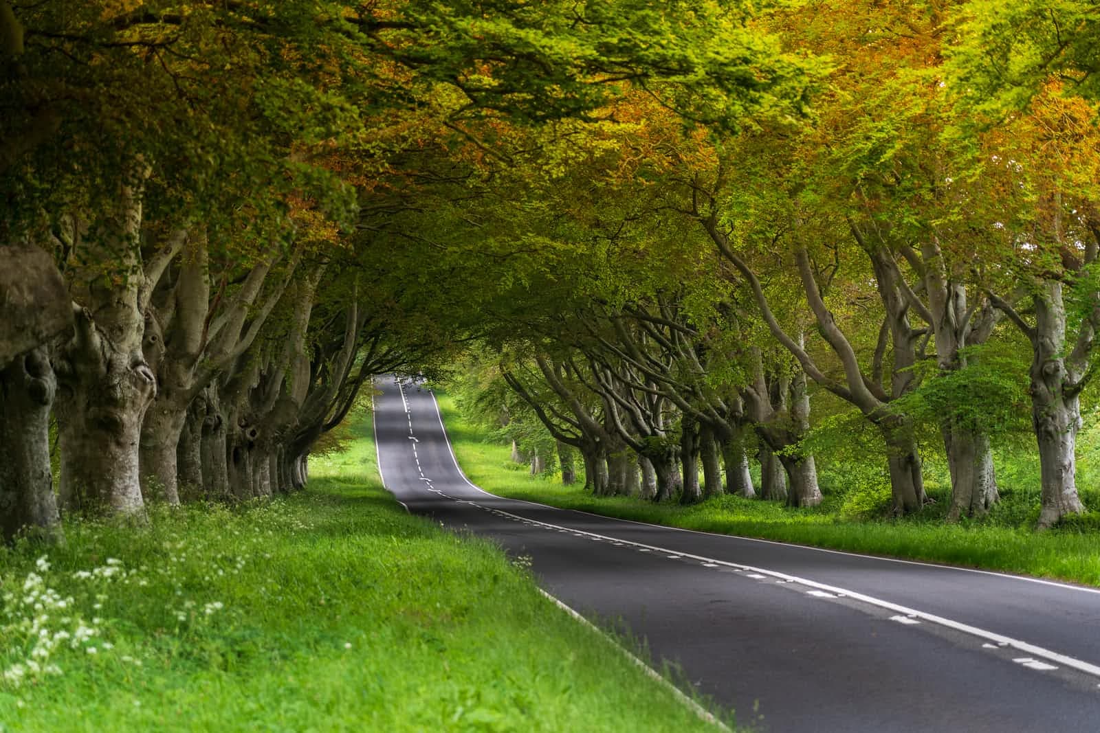 The Continuous Journey